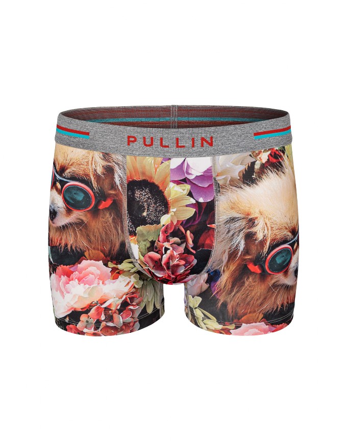 PULL IN FASHION 2 CHIWAWA